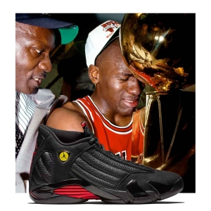 Кроссовки Air Jordan 14