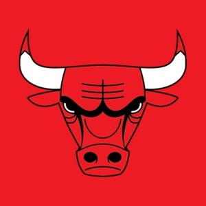 Кепки Chicago Bulls